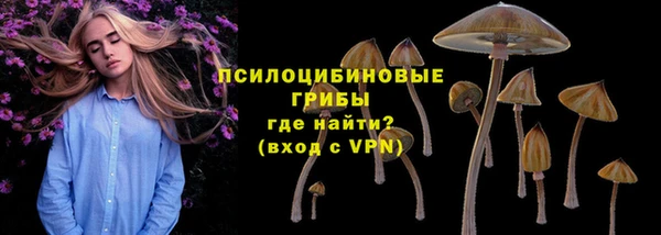 apvp Краснотурьинск