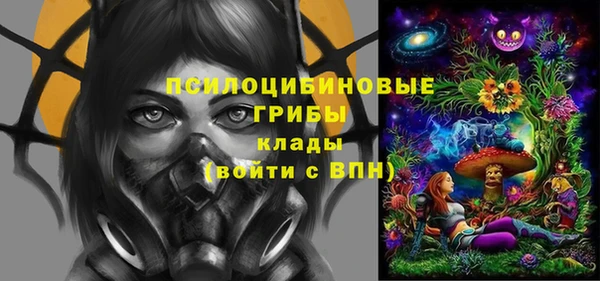 apvp Краснотурьинск