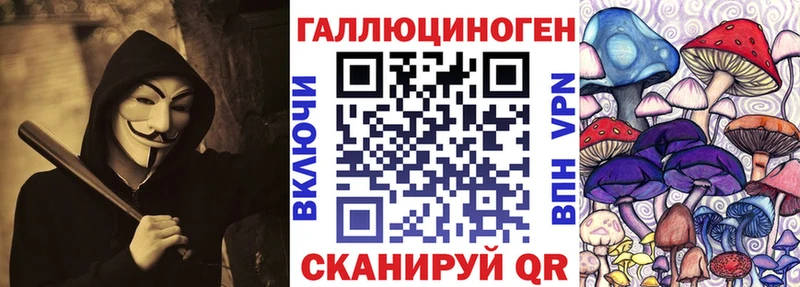 Купить где Плёс Псилоцибиновые грибы GOLDEN TEACHER